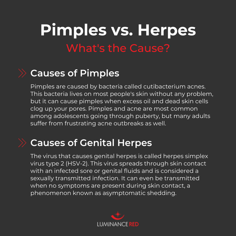 genital herpes or pimples