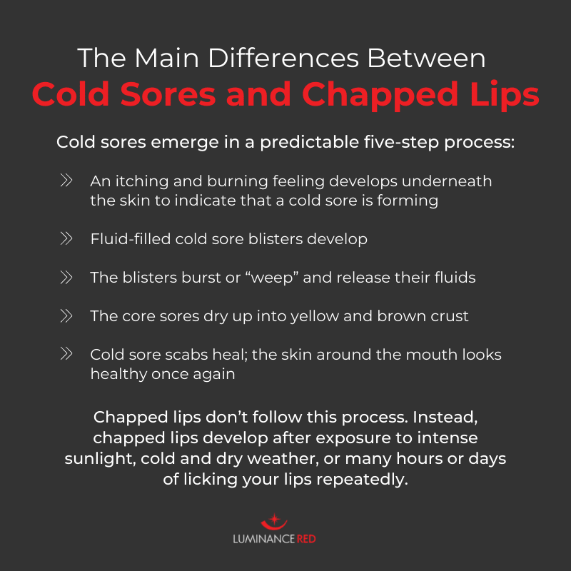 cold sore or chapped lip