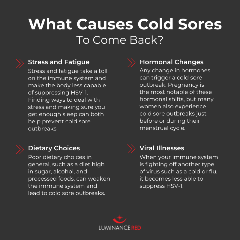 What Causes Cold Sores? The Ultimate Guide Infographic